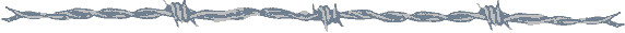 biggrey.jpg